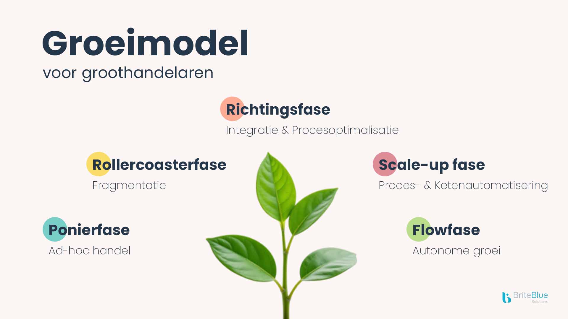 Een werkdag van Ritchie Piessens bij BriteBlue