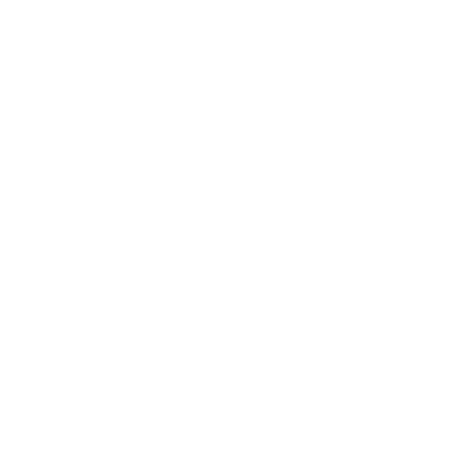 RvA Service logo wit